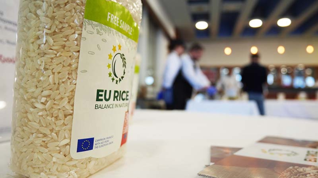 ΔΕΛΤΙΟ ΤΥΠΟΥ: EURICE Εκπαιδευτικό σεμινάριο